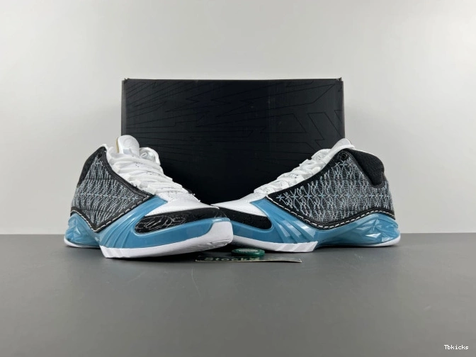 Cheap TBK 23 UNC Jordan 318376-041 0825